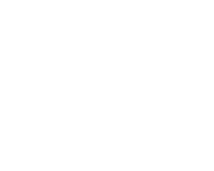 ASCII illustration of a brain representing SpaceScale's engineering philosophy